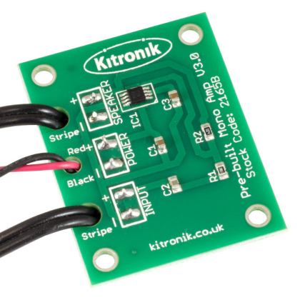 large mono amp v3 pre built with wires