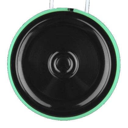 large thin speaker